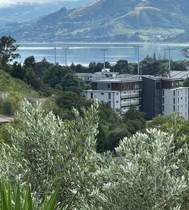 Sunny hillside central Nelson hideaway with city to sea views
