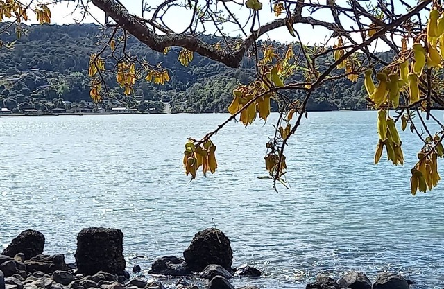 Sunny house in sheltered bay, great views, classic kiwi ambience