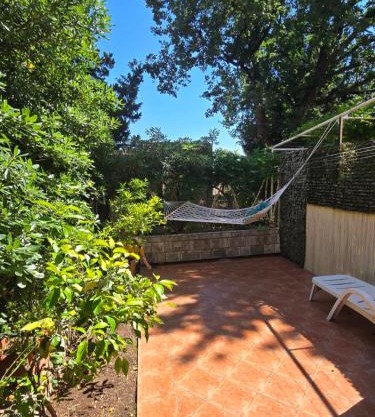 Sunny Lemon Garden