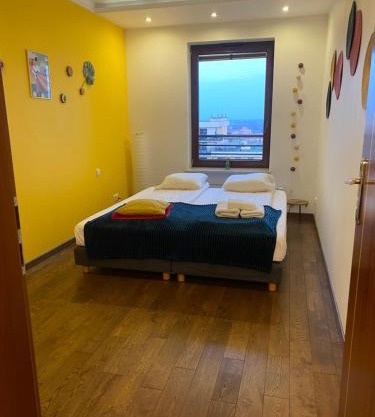 Sunny Life Apartment