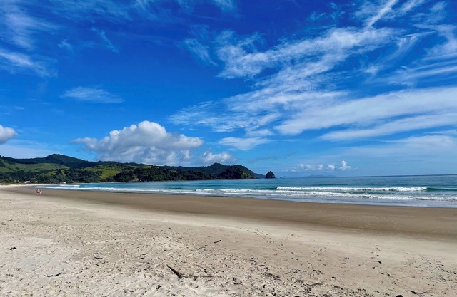 Sunny relaxed beach sleep out - pet friendly