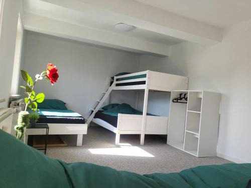 Sunny Rooms
