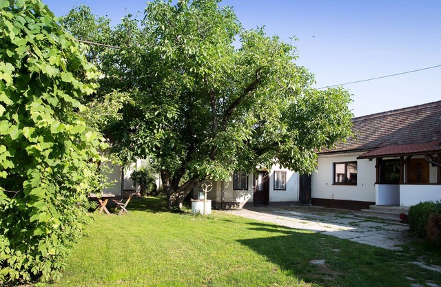 Soleadas habitaciones, camas blandas