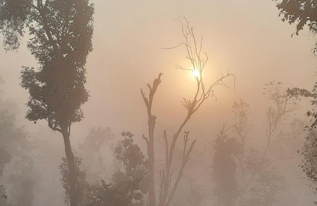 Sunrise Homestay, Nagarahole