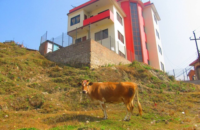 Sunrise Homestay Nepal
