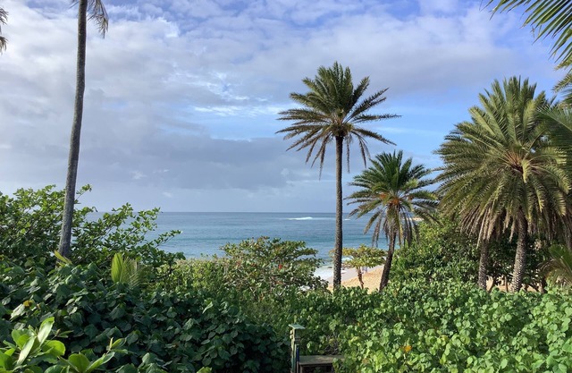 SUNSET BEACH OHAU HAWAII - BEST VIEW ON THE NORTH SHORE