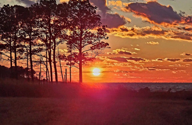 SUNSET POINT FARM - Gracious Country Farm on the Chesapeake Bay - 75 Acres