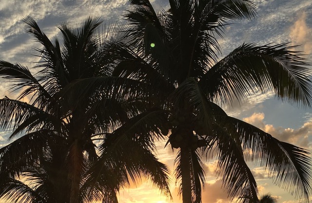 Sunsets and sunshine. Bahamas Paradise 🏝🇧🇸💗