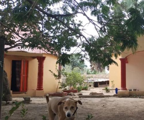 Sunshine Guesthouse Bafuloto