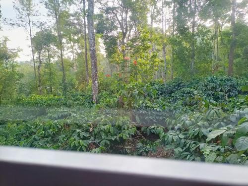Sunside Estate stay