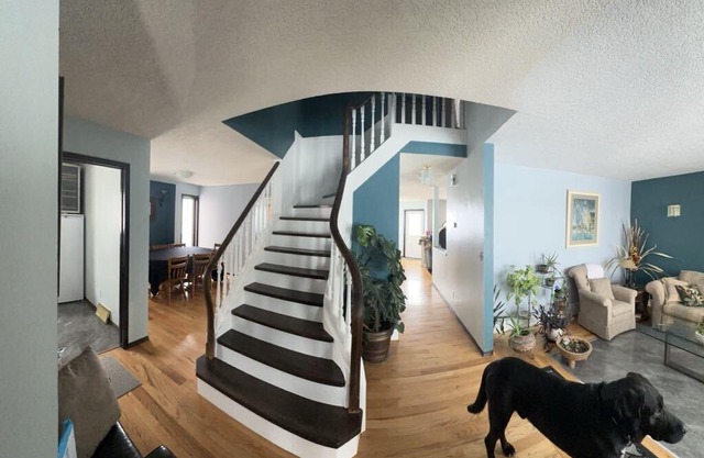 Super Comfy & Large Family Home w/ Guest Kitchen, 2Bathrooms & up to 3Bedrooms.