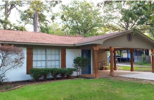 Super Cozy Home, quiet setting, large, fun back yard in coveted North Longview