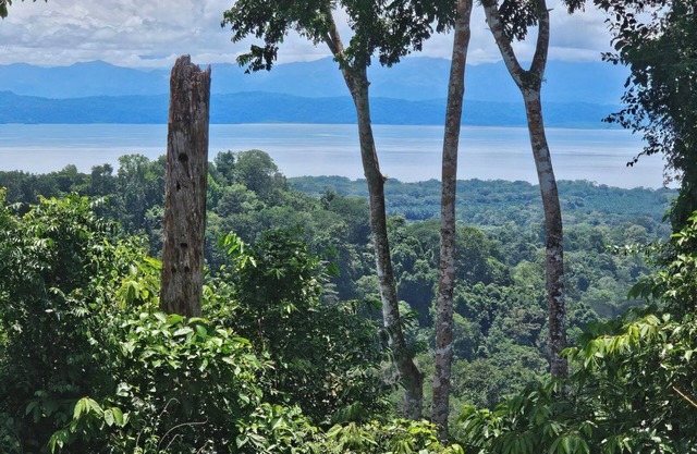 Superb 2-bedroom cabin in the Osa Penisula with stunning mountain and sea views