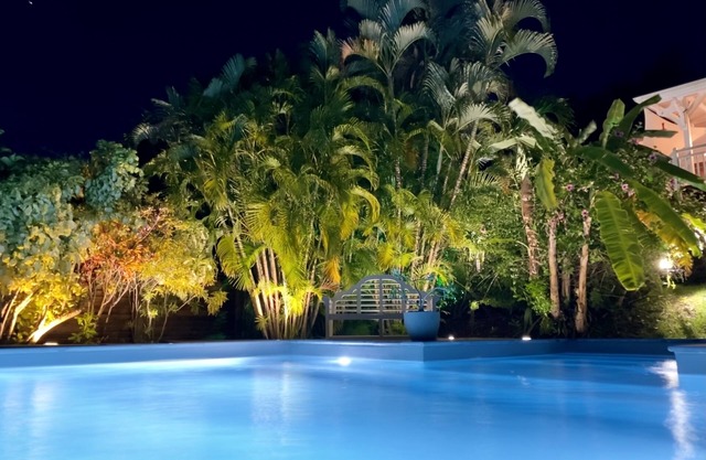 Magnífico nuevo F2 en su jardín tropical cerca de fondos blancos