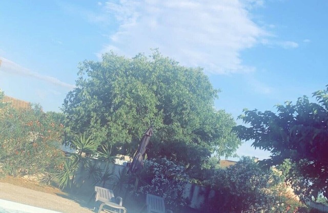 Vrbo Property