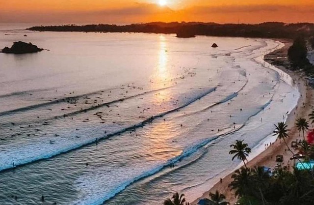 surf
