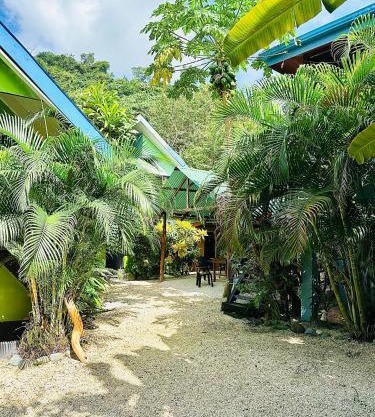 Surf Paradise