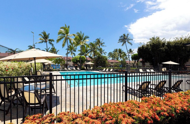 Surf & Racquet Club #24