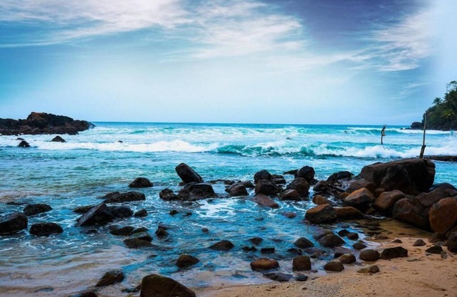 Surf Sea Breeze