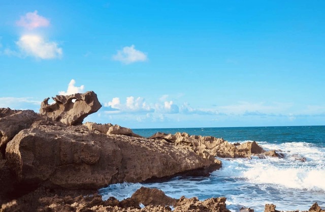 Surfers/backpackers Paradise
