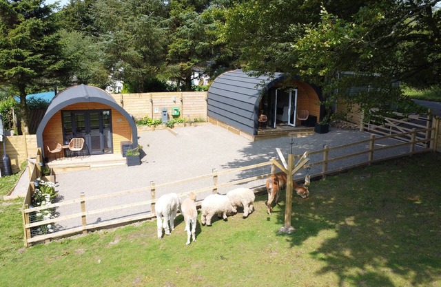 suri luxury eco glamping pod @ little peru alpaca farm