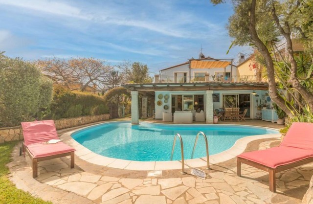 Surphinia by Interhome