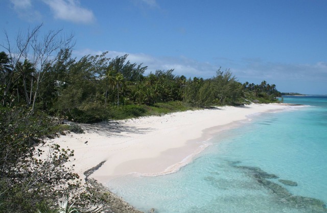 Entrega a Su Tropical Impulse