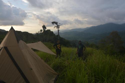Survival Trip Leuser Eco Stay