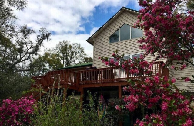 Suwannee River house, 18 acres of wilderness property; kayak, fish, swim, bike.