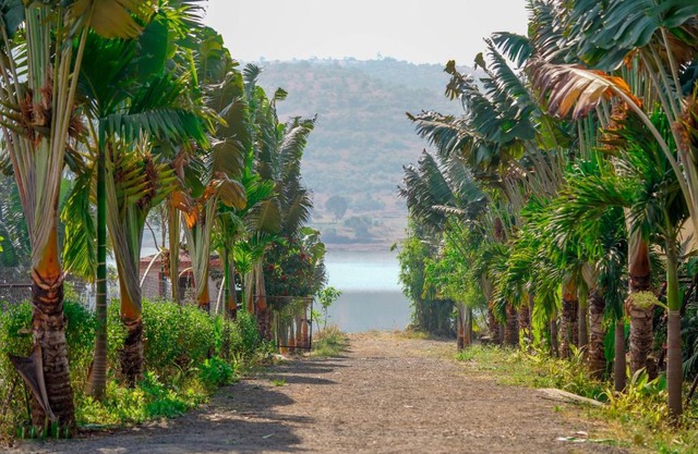 Swarg Resort pawana