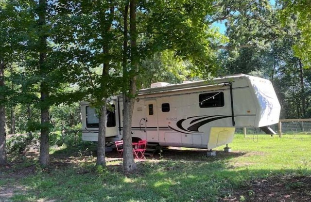 Sweet Gum Camper at Cluckin Lucky Farm
