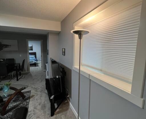 Sweet New 2 bedroom with 1 GIG WiFi Internet