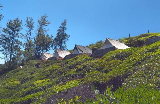 Swiss Tents in Ooty, Tn