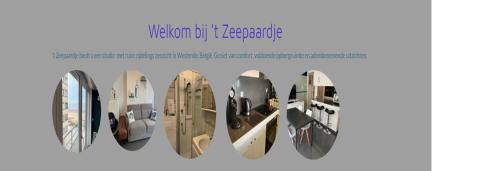 't Zeepaardje
