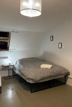 T1 rénové 29 m2 cosy confort !