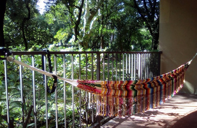 T1 wooded residence with swimming pool (in summer) and parking lot