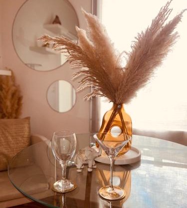 T2 Paris le raincy cosy