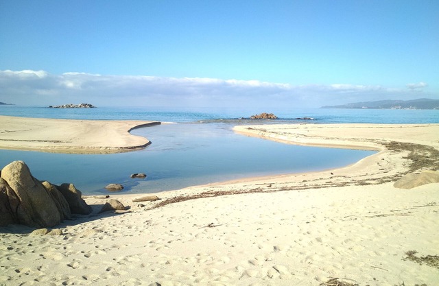 T2 Seaside
