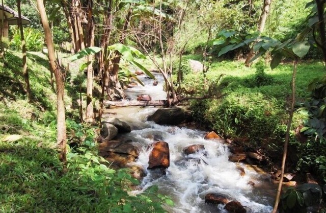 Tadplacamp Organic Farm Stay