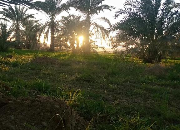 Taher lake camp