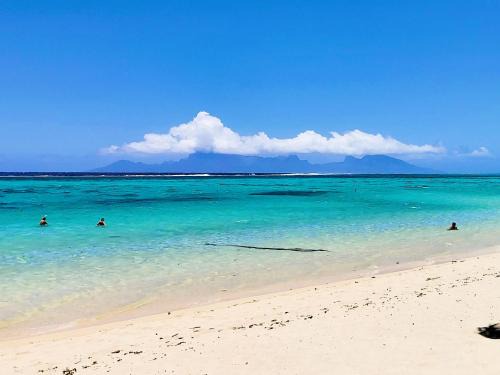 TAHITI - Fare Vainato Beach