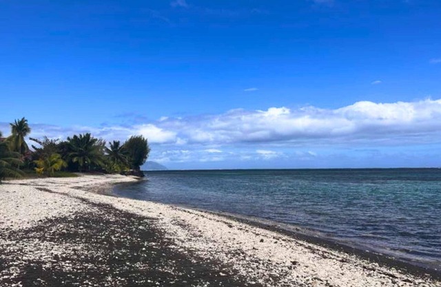 TAHITI -Mango Lodge Moana
