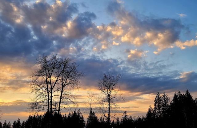 Take it easy at this tranquil getaway Kanaka Springs ,nature lovers paradise.