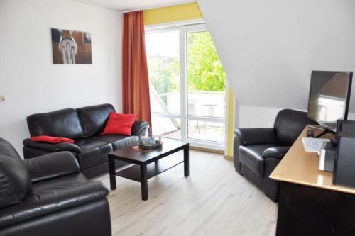 Takelage: Hundefreundlich & Balkon