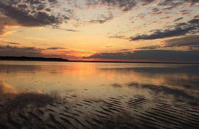 Tales of Sunset Bay, Paine's Creek, a pie de playa, helados, café y cerveza