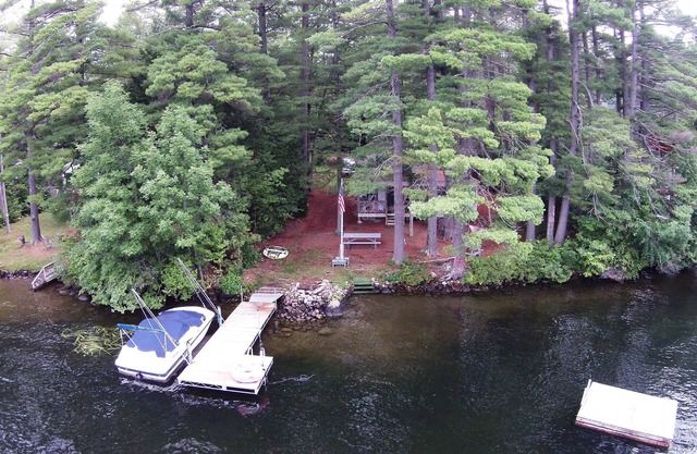 Pinos altos en el lago loon