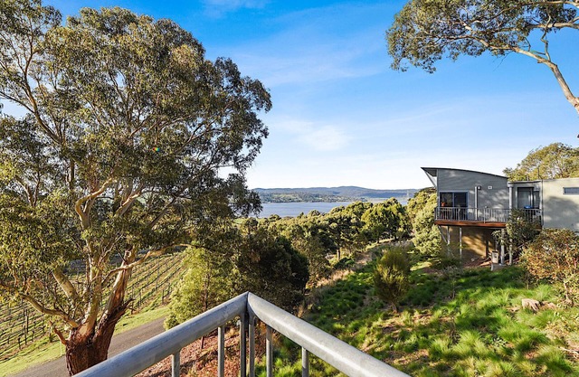 Tamar Valley Treetop Retreat with River Views