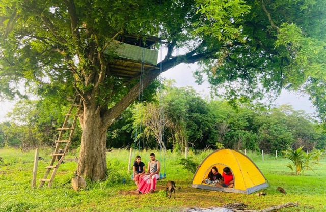 Tamarind Tree Chamber