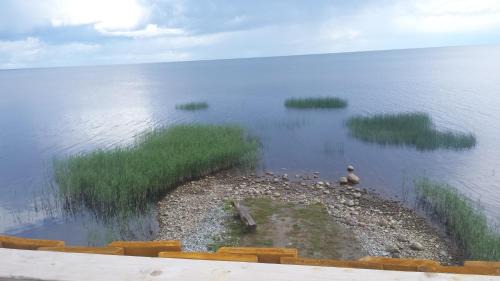 Tammispää Camping