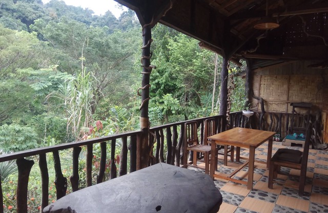 Tangkahan Inn